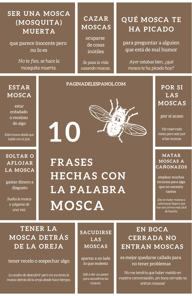 paginaespanol's tweet photo. 10 frases hechas con la palabra “mosca”. ¿Conoces o has escuchado alguna más?
🔗 https://t.co/mm8q0G5HtN https://t.co/nMDpX44PWG