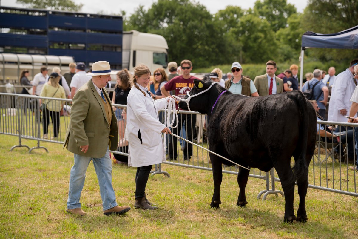 Kenilworth Show tweet media