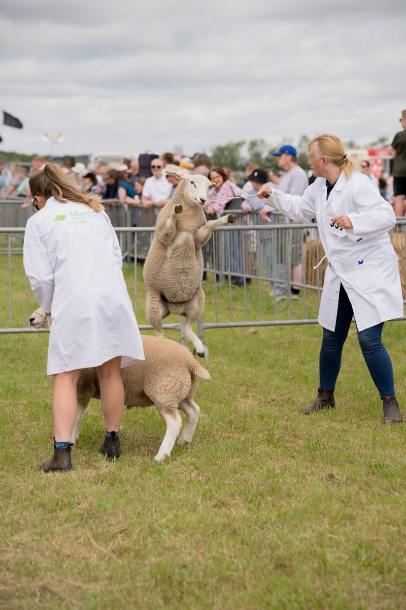 Kenilworth Show tweet media
