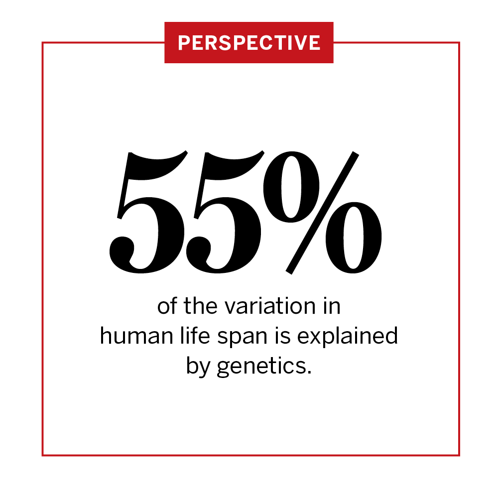 An analysis of twin cohort data suggests that human life span is far more heritable than previously believed. 

The findings of the analysis in Science show that once deaths from external factors, such as accidents or infectious disease, are accounted for, genetics may explain