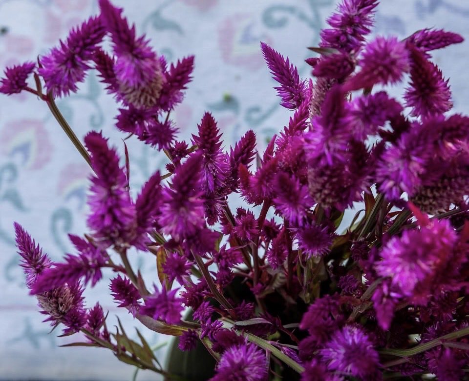 breezy413 tweet media