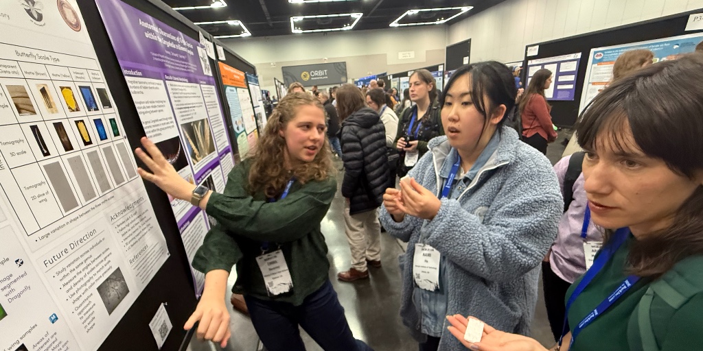 LBNLALIFT's tweet photo. Celebrating National Mentoring Month with Dr. Liz Clark and high school intern Emma Beverley!

Emma’s butterfly scale research was featured at the SICB conference. 🦋🔬

Emma says, “Grateful to Dr. Clark for introducing me to SICB and supporting my presentation.” 🙌 https://t.co/VIhTgHJ6VS