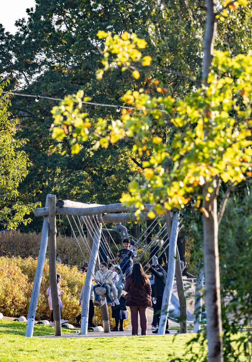 TransformingBX tweet media