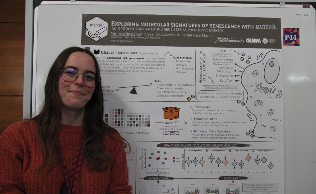 NMorais Lab tweet media