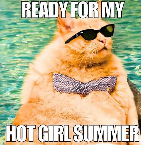 llandoniffirg's tweet image. Hahahaha🤣🤣🤣🤣🤣