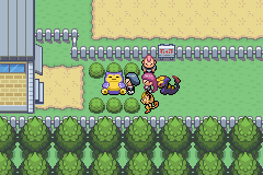 JessieJamesGBA's tweet image. 🔴ROCKET EXECUTIVE ATHENA

📍Directs operations at the Rocket Casino Secret Base
📜While Giovanni is busy, she assigns us missions

😴MISSION 5: Steal the Poké Flute and awaken the Snorlax on Route 16

🇬🇧 🇺🇸 Coming soon
#Pokemon #Romhack #TeamRocket #GBA