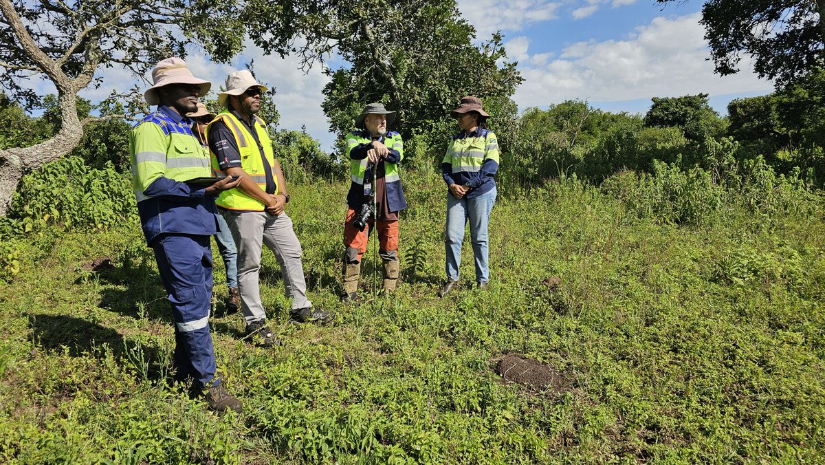 LifezoneMetals tweet media