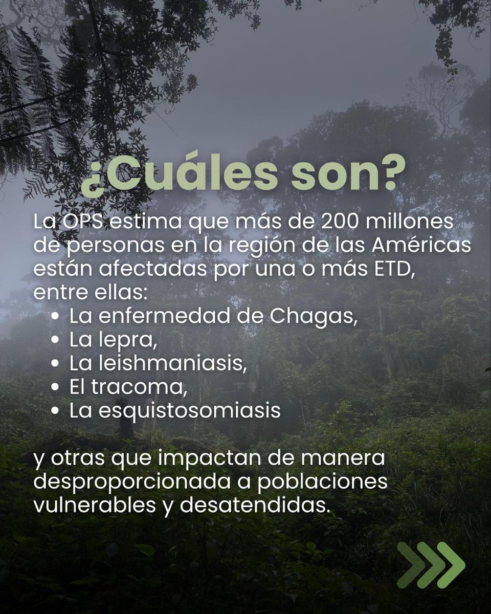 Desde el <a href="/INSColombia/">Instituto Nacional de Salud🇨🇴</a> reafirmamos el compromiso de seguir  trabajando para que estas patologías dejen de ser invisibles. 

La prevención, la vigilancia, el diagnóstico oportuno y  la articulación con los territorios son fundamentales para reducir su  impacto.
