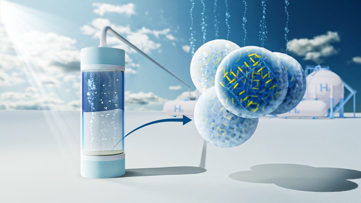 SustainHistory's tweet image. Turning #Infrared-#SolarPhotons into #HydrogenFuel:

Infrared-absorbing #PhotoCatalysts capture #Heat from #Sunlight,

 to drive efficient #HydrogenProduction.

@KAUST_News 

discovery.kaust.edu.sa/en/article/263…