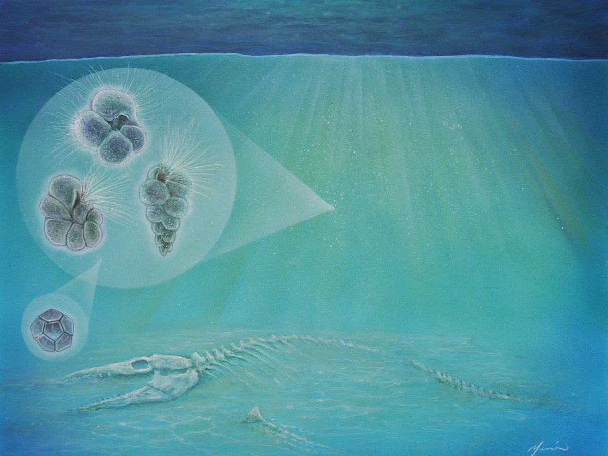 Penn State EESI tweet media