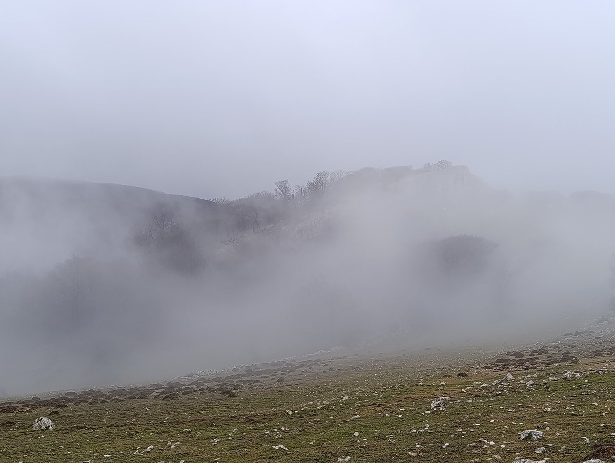 Nieblas en #LaOficinaDeHoy