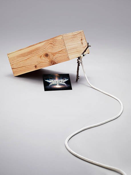 ▪︎S&kani-metal?💿▪︎ tweet media