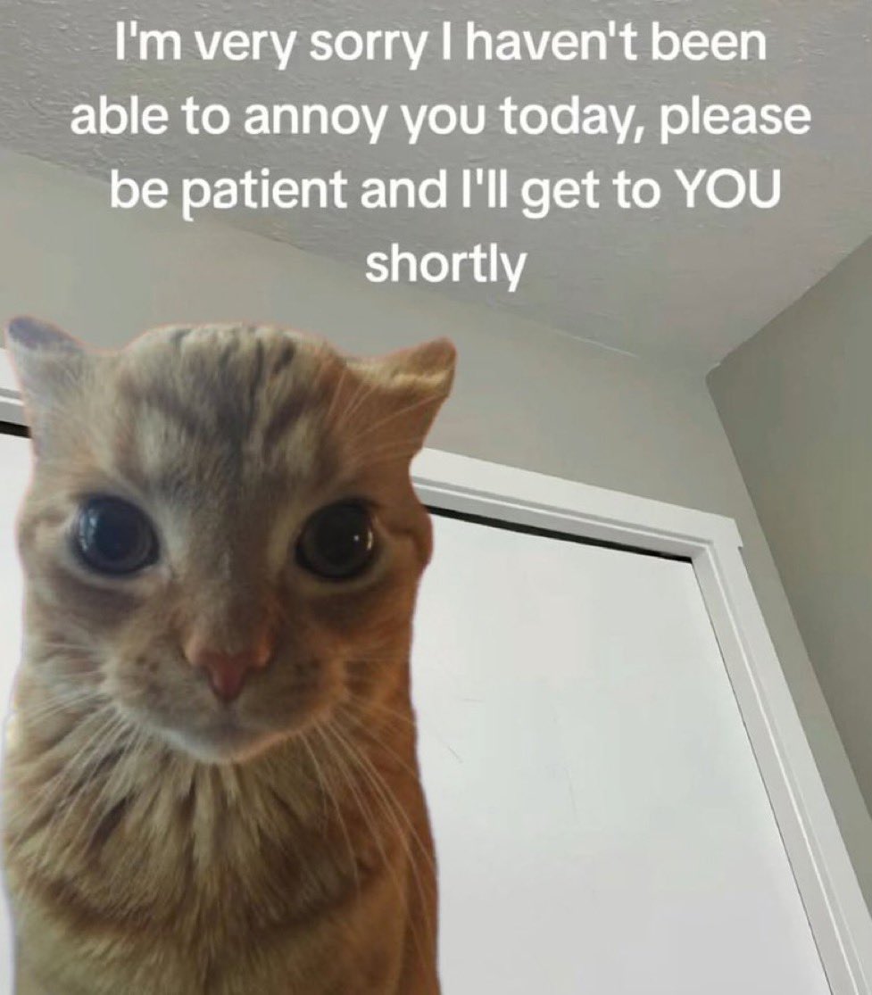 gakstercat's tweet photo. https://t.co/cVMcWLMjDh