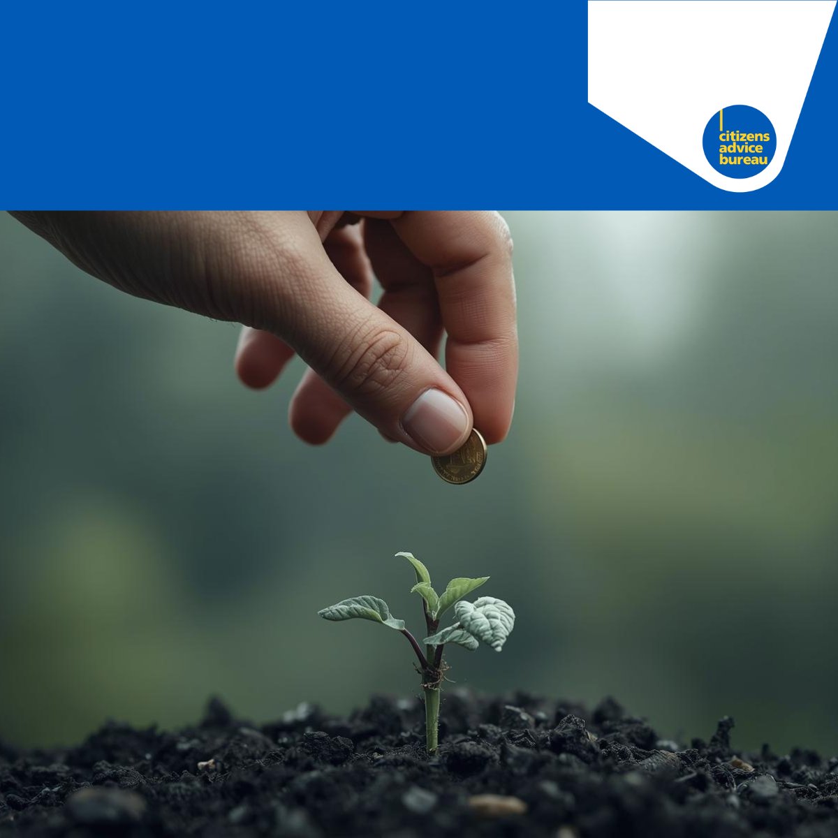 Hamilton CAB tweet media