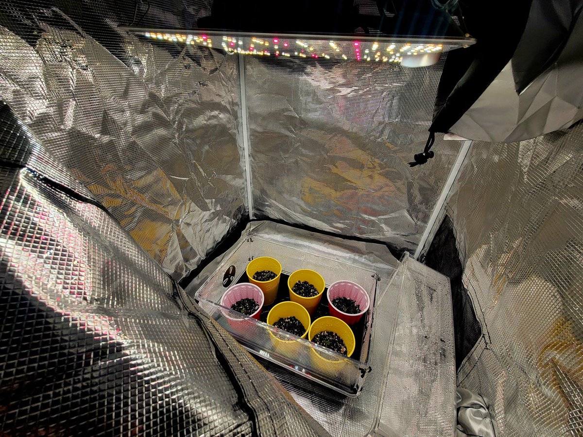 Trent'sGotAGarden tweet media