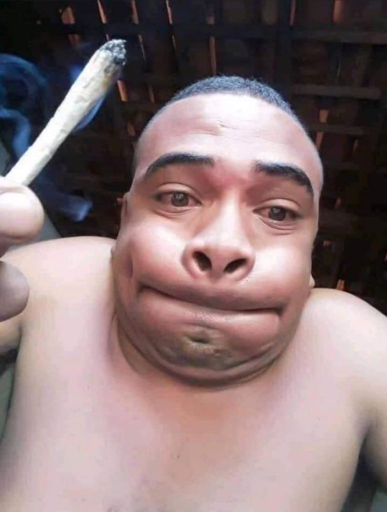 Stoner Barbie (@stonersvilla) on Twitter photo 