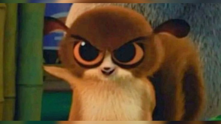 fdpleao's tweet photo. #leão trabalhar pra mimar a garota que eu gosto e infelizmente ela é muito cara (a garota sou eu) https://t.co/jhtT30DKxb