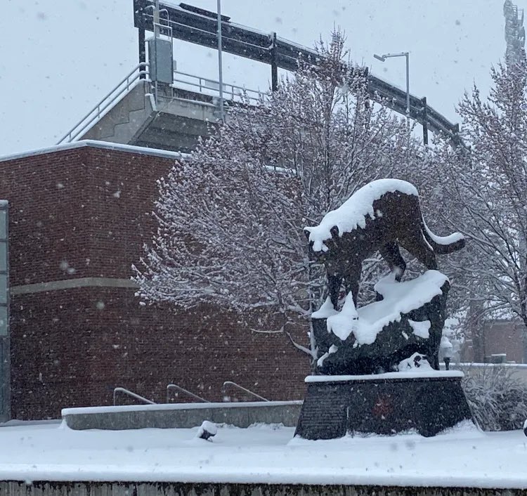 West Coast College Sports Guy tweet media