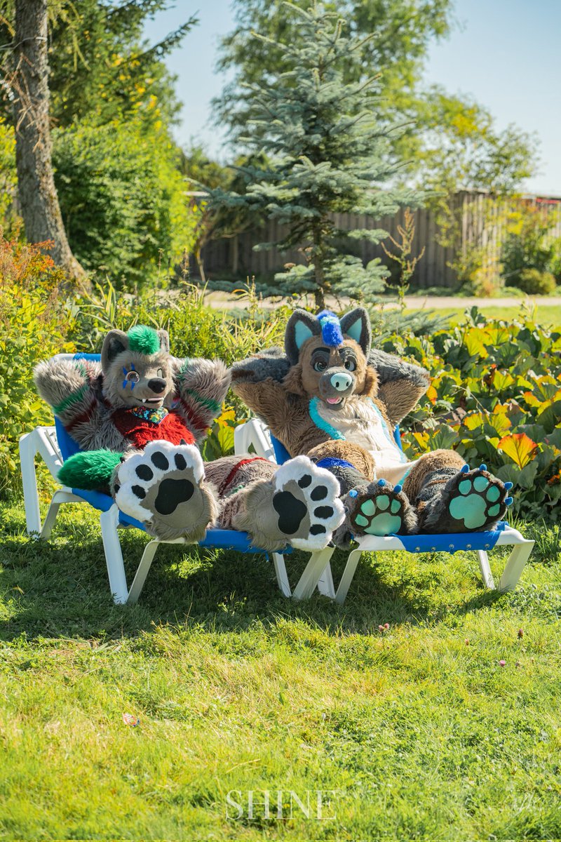 Trace Hyena @NFC 🇸🇪 tweet media