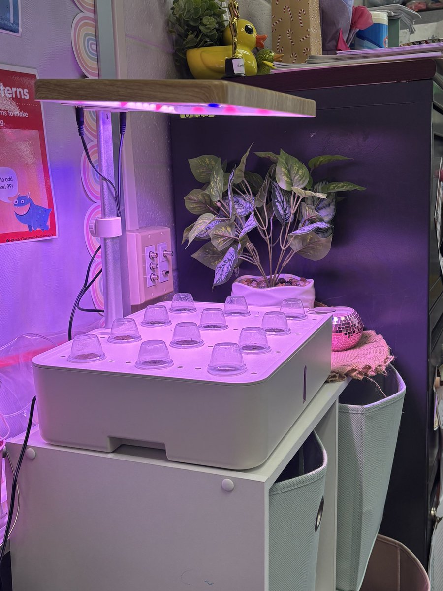 Colleen McNaughton tweet media