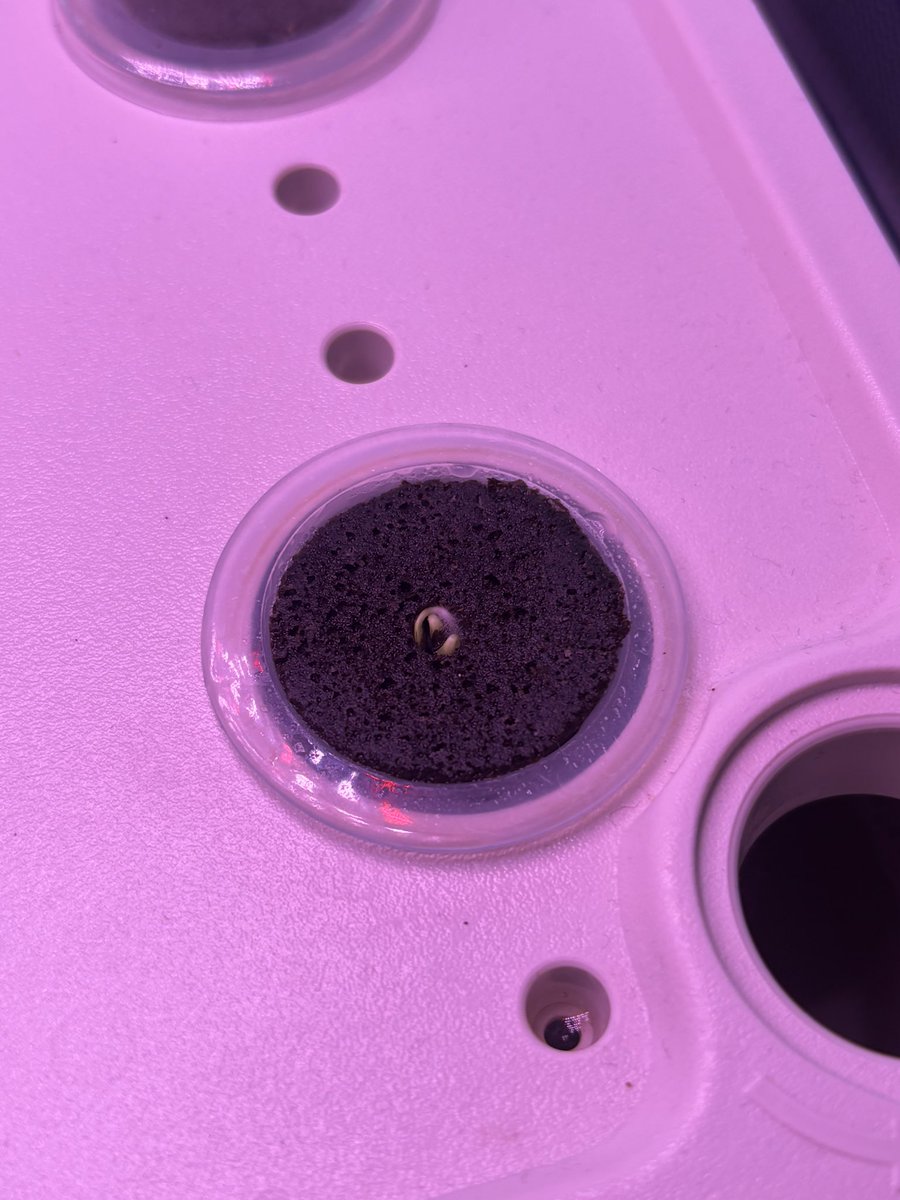 Colleen McNaughton tweet media