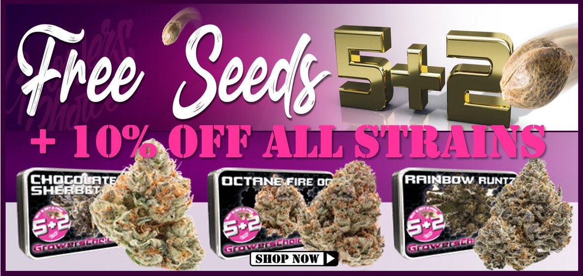 Discount Cannabis Seeds tweet media