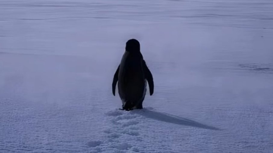 Utkarsh0x tweet media