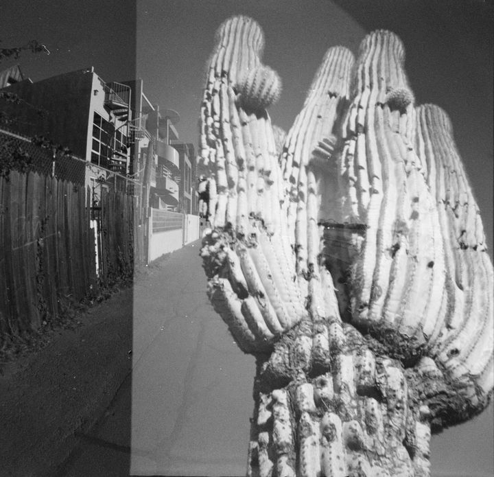 Art of the Day! "Saguaro, AZ + Santa Monica Boardwalk". Buy at: ArtPal.com/jewelsartphoto…