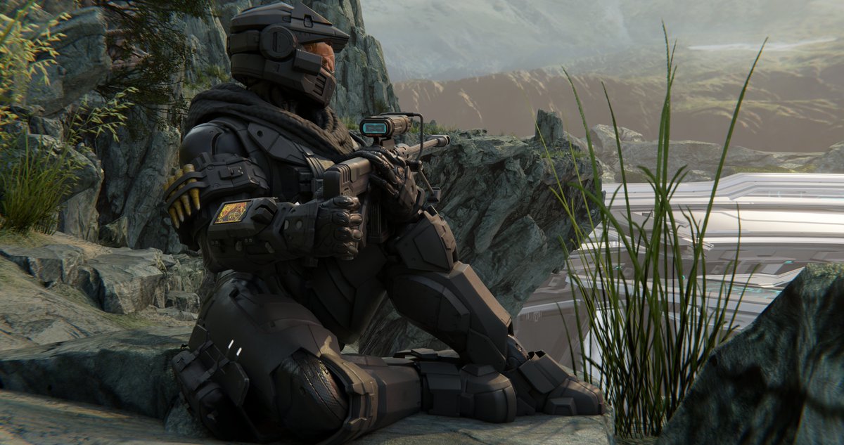 Jesień Sroka tweet media