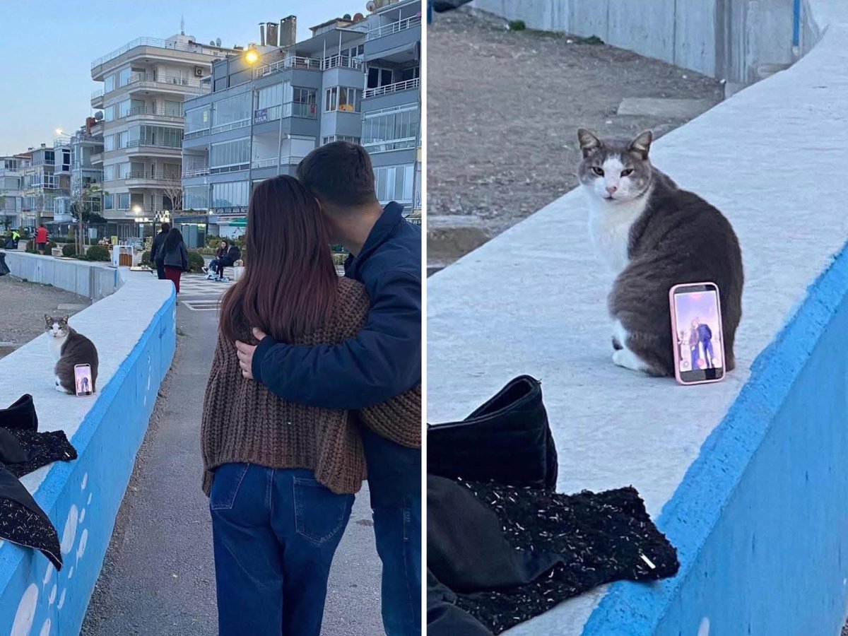 A couple in Turkey using a cat as a tripod. 😾