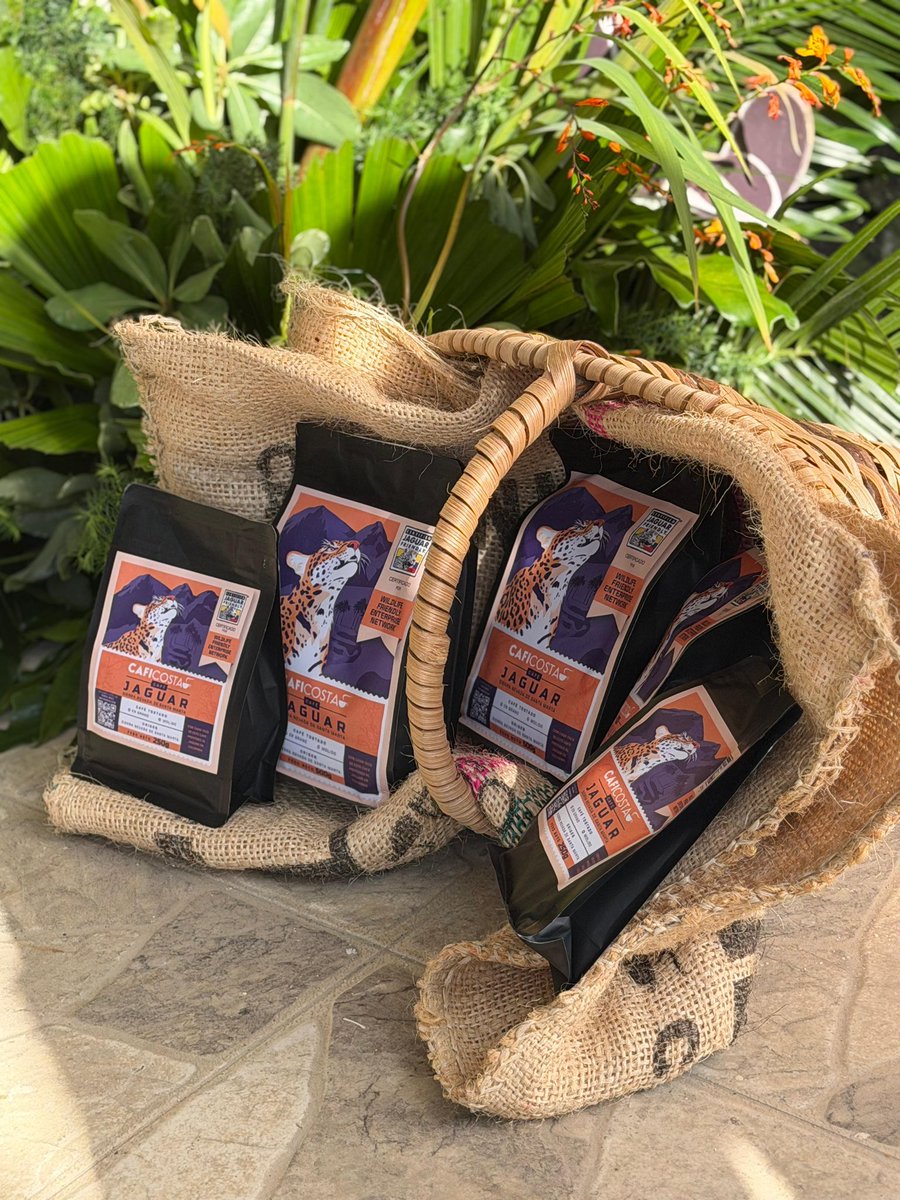 CORPAMAG tweet media