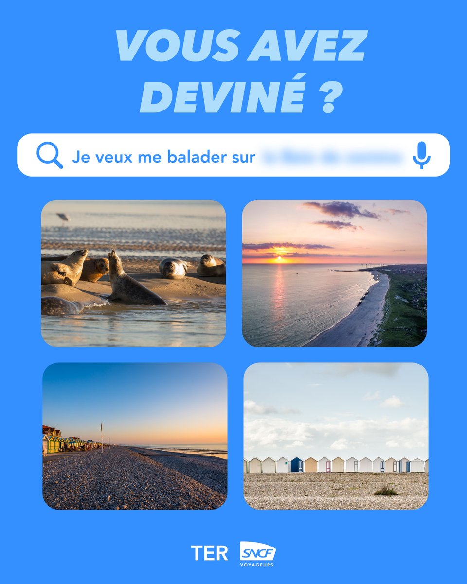 TER SNCF Voyageurs tweet media