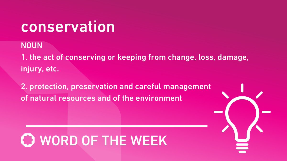 StarAcademies's tweet image. Our #WordoftheWeek in our schools is 'conservation'.

This week we are focusing on Planet Earth and how we can help to save it.

Pupils will explore the importance of protecting wild species and their habitats to maintain balance and stability in the world's ecosystems.