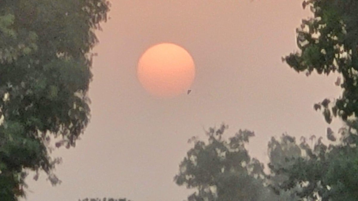 jyotsnassingh's tweet image. तपिश भले ही ज़माने में रहे, 
मेरे हिस्से की बस इक किरण आए,
मेरे आँगन की उदास मिट्टी भी, 
ज़रा सा तो मुस्कुराए।
अँधेरों से वास्ता पुराना सही, 
पर उजाले की चाहत नहीं जाती,
कोई रोशन टुकड़ा आसमाँ का, 
मेरी दहलीज़ पर भी उतर आए।

#JS ✍🏻