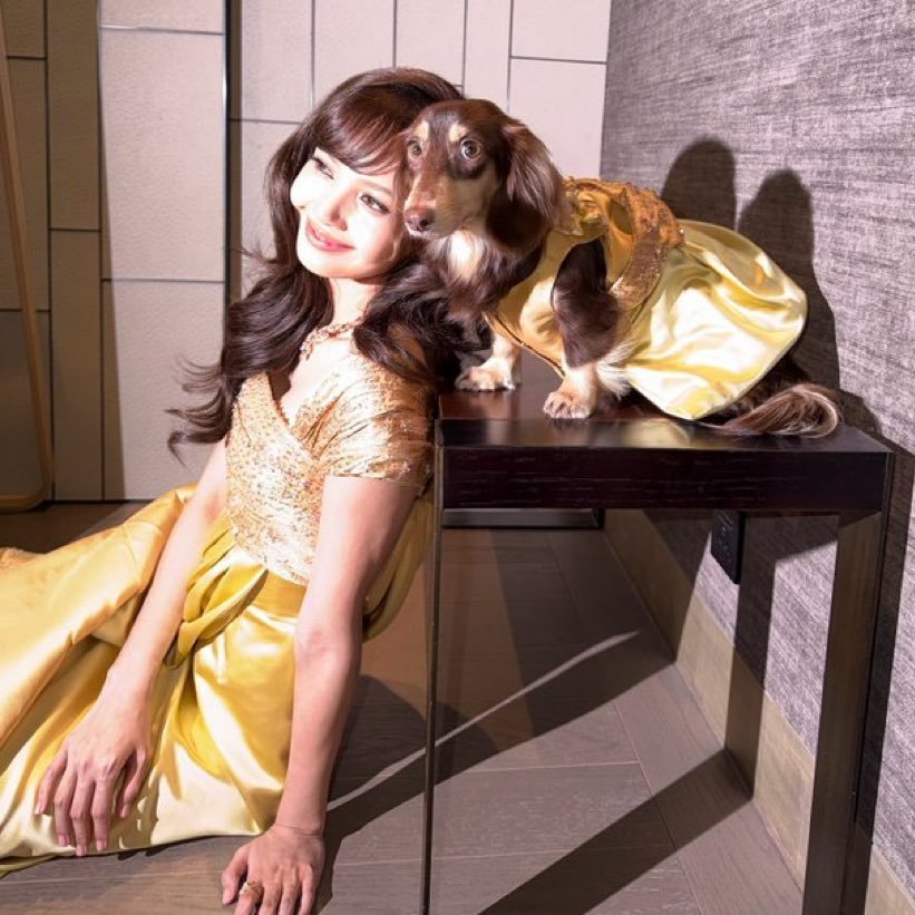 NPOMV | Zine tweet media