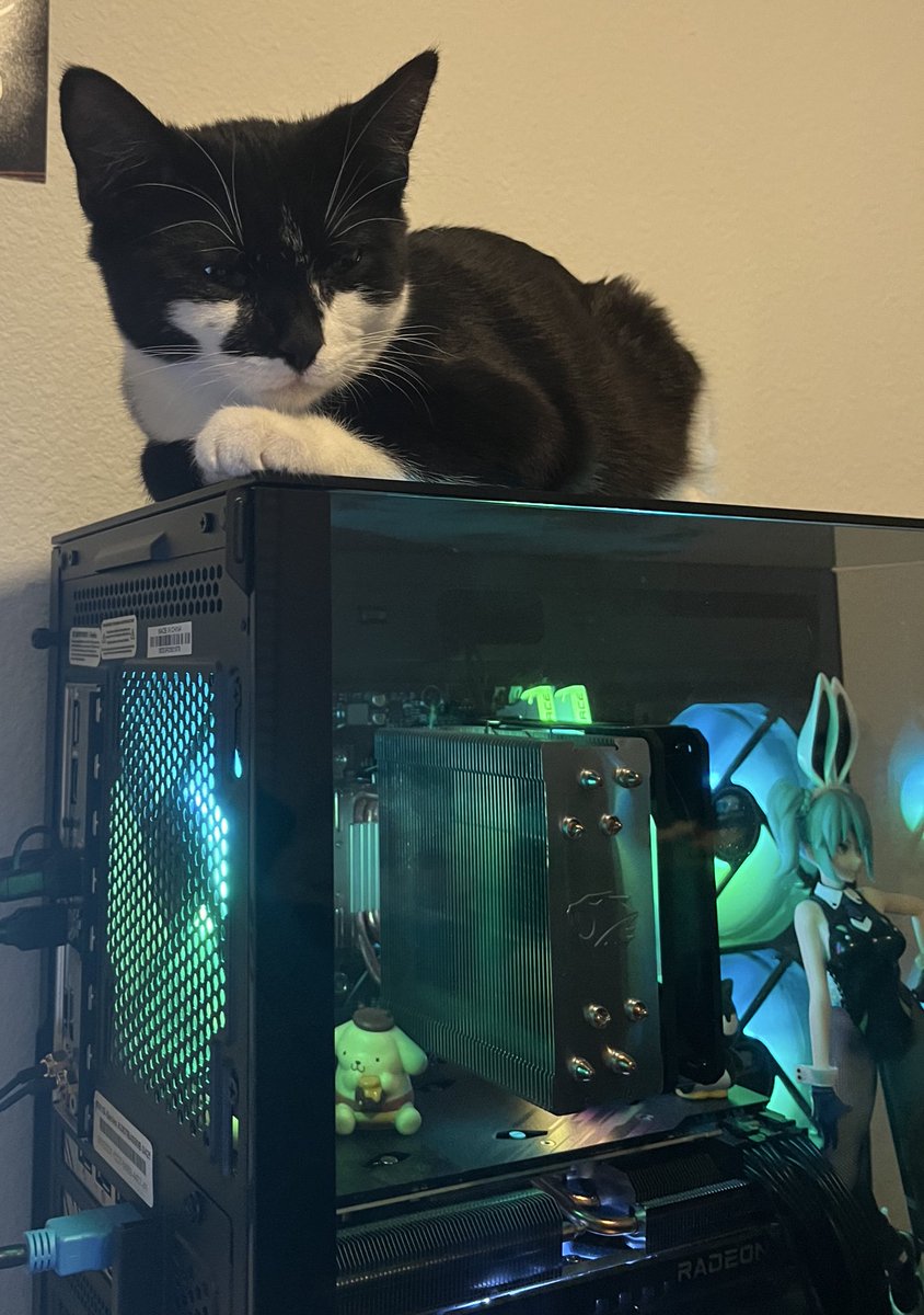 Gaming computer works but apparently as a heat source

STREAMS SHOULD BE COMING SOON I KNOW IM SORRRYYYYGY