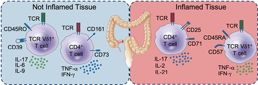 Clinical & Experimental Immunology tweet media