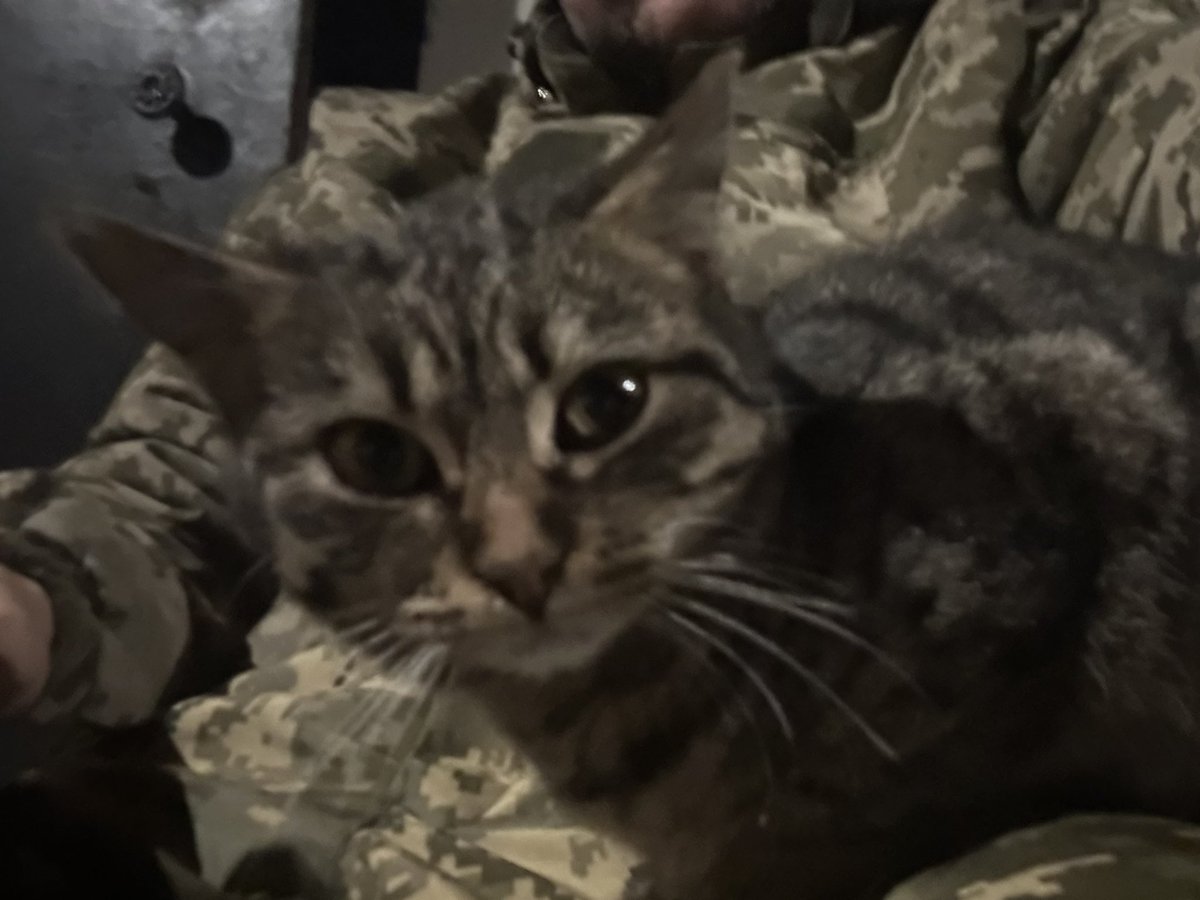 Рома Ігнатенко (@kotyk_ua) on Twitter photo 