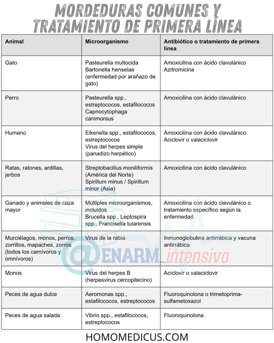 📌Mordeduras comunes y tratamiento de primera línea

#ENARM_INTENSIVO #ESTUDIA_MEDICINA