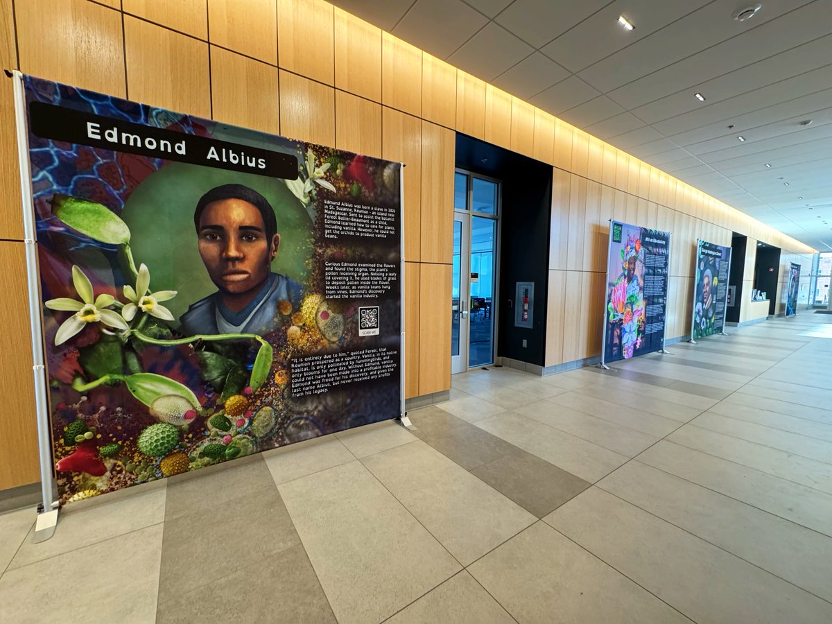 PlantCellAtlas.bsky.social tweet media