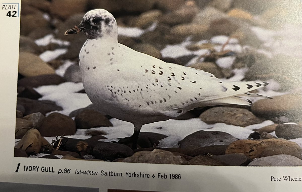 Ian Foster tweet media