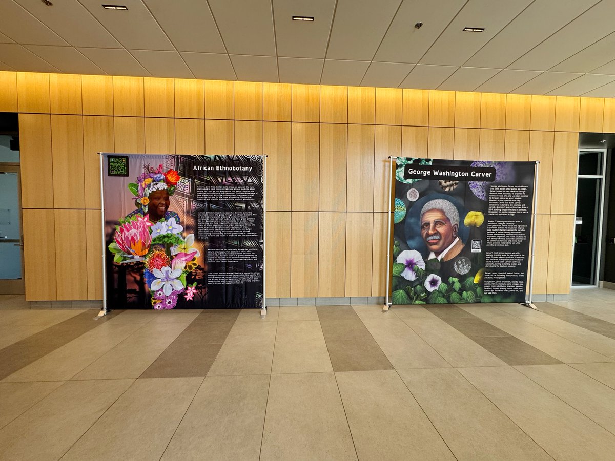 PlantCellAtlas.bsky.social tweet media