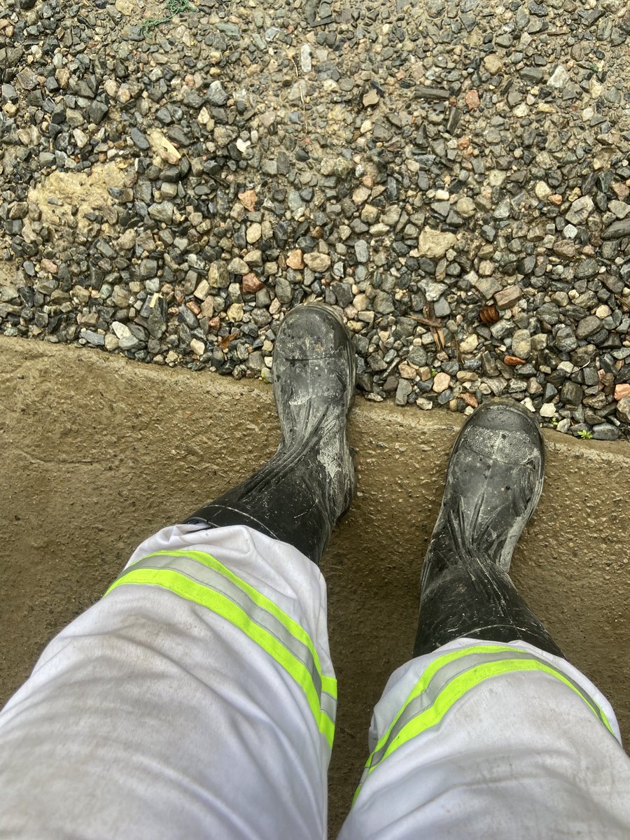 Samalani_W's tweet photo. What’s been on my feet this week.📸 https://t.co/FzNdVqubXk