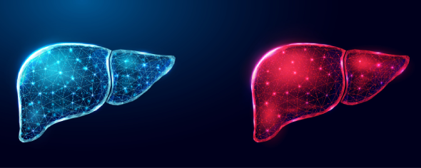 CD_AACR's tweet photo. Liver Response to Metabolic Stress Drives Cancer-associated Programs https://t.co/mnV74KDDk7
A #ResearchWatch summary of a recent study by Constantine N. Tzouanas, Jessica E.S. Shay, Marc S. Sherman, Wolfram Goessling, Ömer H. Yilmaz, Alex K. Shalek, and colleagues. https://t.co/kdJTzKYJ8y