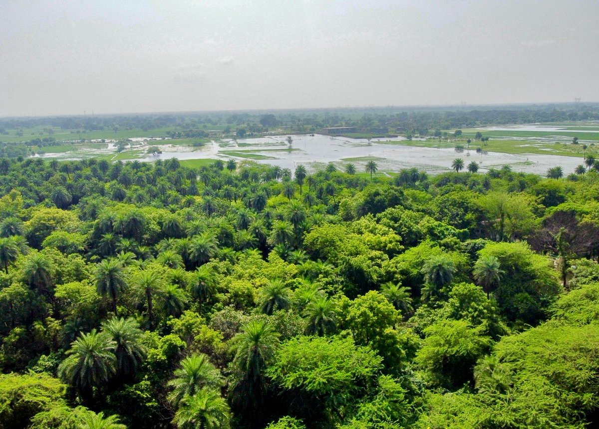 moefcc's tweet photo. India continues to strengthen wetland conservation efforts.

Patna Bird Sanctuary in Etah, Uttar Pradesh, and Chhari-Dhand in Kutch, Gujarat have been designated as #Ramsar Sites.

India’s Ramsar network has grown by over 276%—from 26 sites in 2014 to 98 today. https://t.co/kcXrYQMJy3