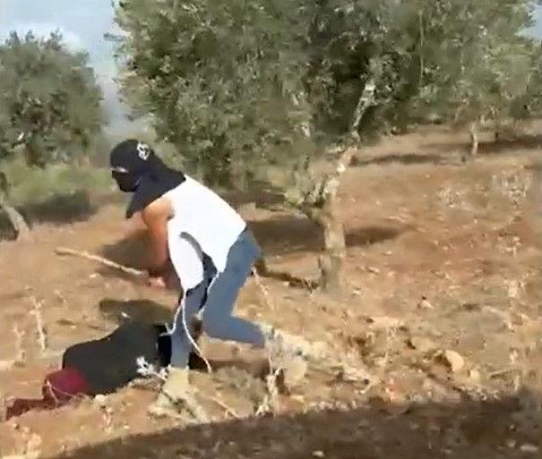 SirDrool's tweet photo. @ami_peres היומרה לכתוב את זה כשהתמונה הזאת קיימת, ג'יזס https://t.co/wjwQm508rd