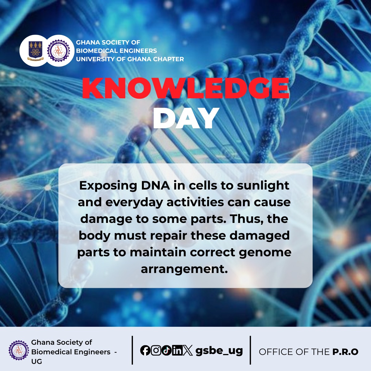 gsbe_ug1's tweet photo. DNA Repair Mechanisms

💡DNA in cells is constantly exposed to UV light from the Sun, chemicals, and normal cellular processes. Repair mechanisms are essential to maintain genome integrity and prevent mutations that can cause diseases like cancer.
#DidYouKnow #GSBE https://t.co/IeVEJQCYR5