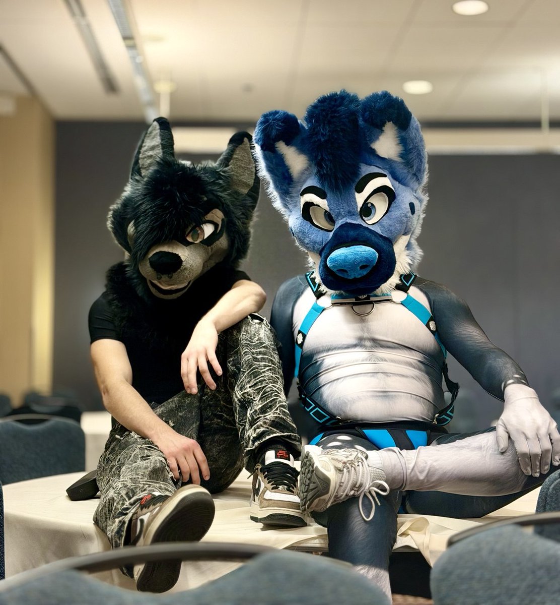 𝐕Λ𝐍𝐃Λ𝐋🔜TFF tweet media