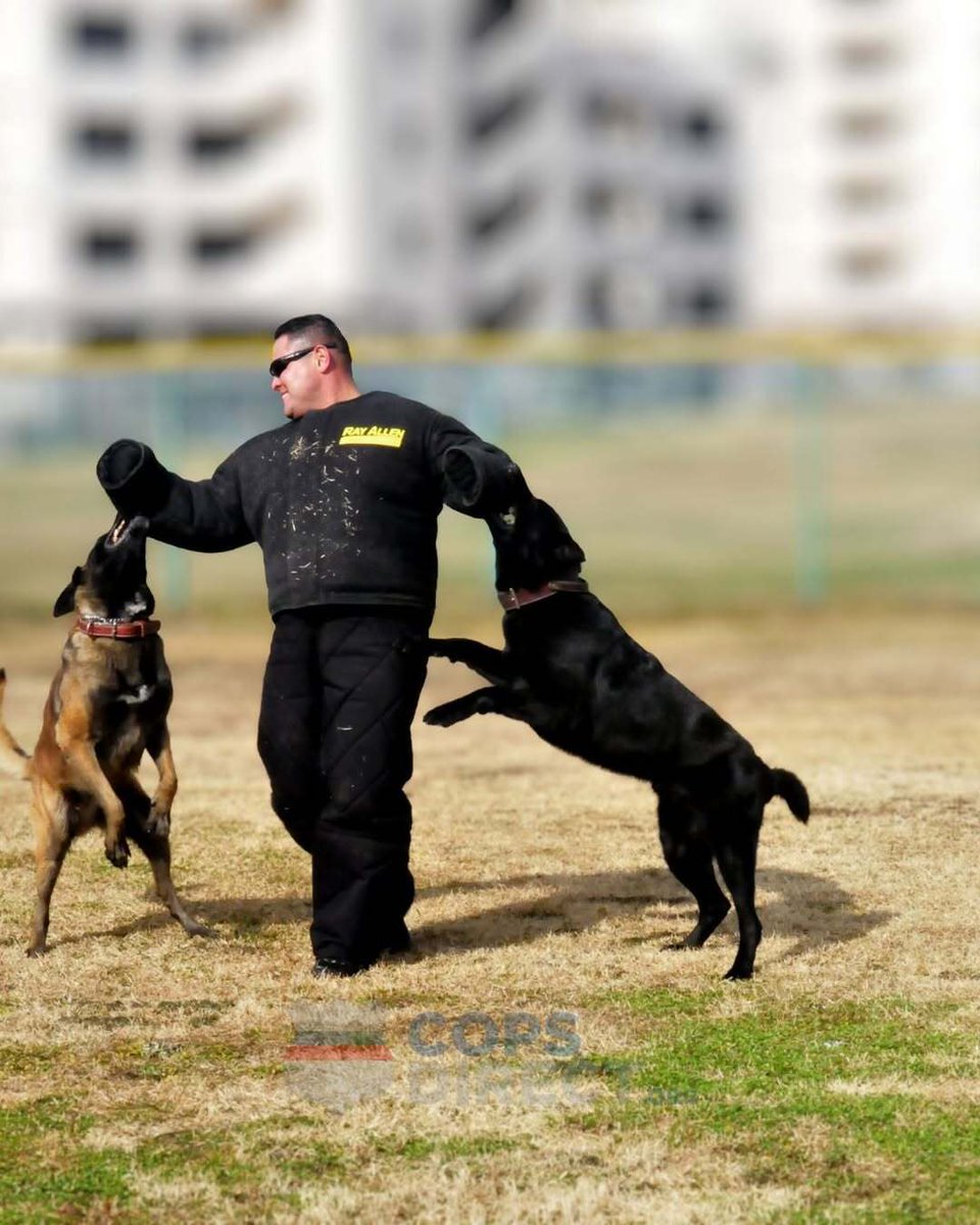 CopsDirect's tweet image. Officers face medical emergencies before help arrives. Cops Direct equips departments with lifesaving gear at no cost. Support the mission—donate at copsdirect.org. Catch us at SHOT Show!
#lawenforcement #firstresponders #donate