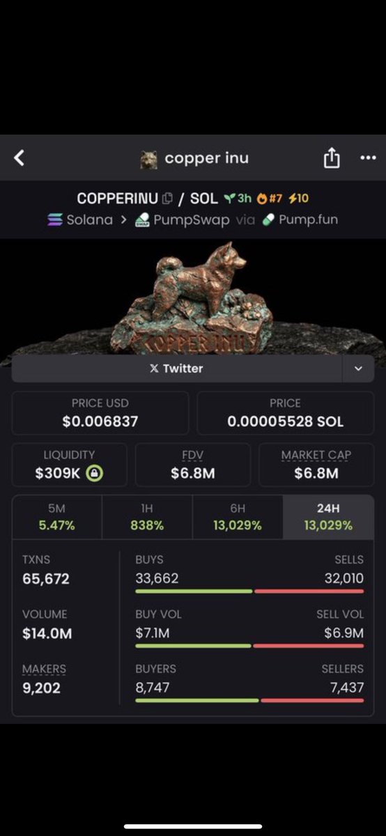 ArazTwo0's tweet image. someone let the dog run 🐕💨

$COPPERINU is already moving

blink and you miss it
tomorrow
6:00 PM 👀🔥